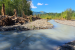 Ministry of Tribal Affairs constitutes committee on Community Forest Resource Guidelines