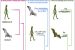 Mutation and Pangolins main source of COVID-19