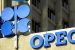 Oil Prices plunge by 20% as OPEC fails to make a deal