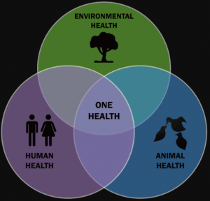 One Health