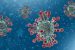 Funding approved by DST to develop Nasal Passage Gel for COVID-19