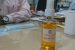 Herbal Decongestant Spray developed by CSIR
