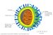 ICMR: Three Quasi-sub species of COVID-19 virus in circulation in India