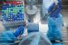 India-WHO engages National Polio Surveillance Network for COVID-19