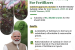 Union Cabinet approves Nutrient Based Subsidy