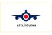 What is Lifeline UDAN?