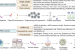 COVID-19 culture for vaccine development and drug testing