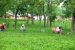 ICMR to replace HCQ with anti-HIV drug; Kangra Tea Suggested
