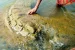 500-year old Temple submerged in Mahanadi found