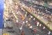 IIT Kharagpur: AI Based Social-Distancing Monitor