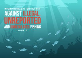 June 5: International Day for the Fight Against Illegal, Unreported and Unregulated Fishing