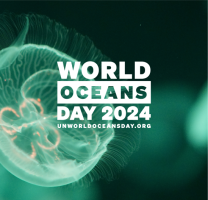 June 8: World Oceans Day