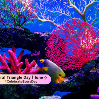 June 9: Coral Triangle Day