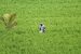 Per Drop More Crop: Rs 4,000 crore allocated