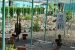 Uttarakhand opens Biodiversity Park