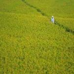 Mizoram launches Green-Ag project