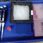 ICMR approves “COVIRAP” test developed by IIT Kharagpur