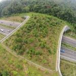 India’s first five animal bridges: Key Facts