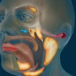Unraveling the Mysteries of Amyloidosis: Scientists Create 2D Lysozyme Protein Monolayer