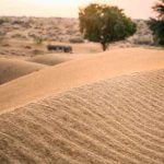 Evidence Found: A river ran through Thar desert 1,72,000 years back