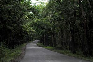 अंशी राष्ट्रीय उद्यान