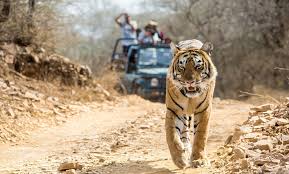 भद्रा वन्यजीव अभयारण्य, कर्नाटक