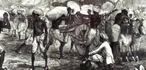 किसान सभाओं की उत्पत्ति