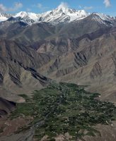 पर्वतीय मिट्टी