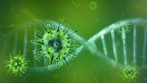 New Strain of Corona Virus in 8 European Countries