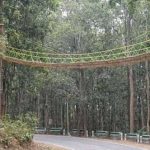 What are Eco-Bridges or Eco-ducts?