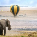 India’s First Hot Air Balloon Safari