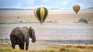 India’s First Hot Air Balloon Safari