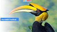 Hornbill Festival