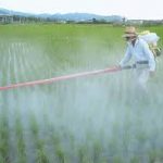Mystery Disease in Andhra Pradesh – Update (December, 2020)