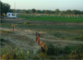 भारतीय अर्थव्यवस्था का ग्रामीणीकरण