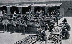 भारतीय कृषि का व्यवसायीकरण