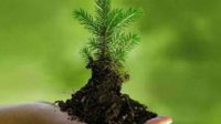 Green India Mission