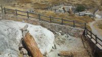 Lesbos’ petrified forest