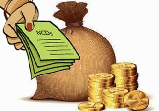 Non convertible debentures