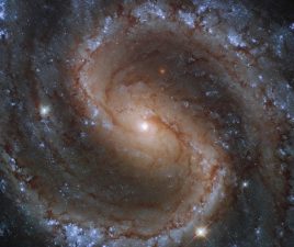 The Lost Galaxy