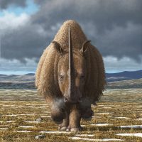 Ice Age woolly rhino