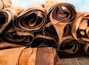 India’s first leather park