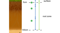 What is Root Zone Moisture?