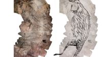Australia’s oldest intact rock art