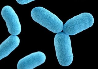 Diphtheria