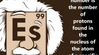 Einsteinium