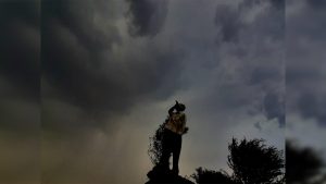 थंडरस्टॉर्म रिसर्च टेस्टबैड