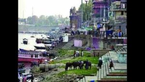स्वच्छता पखवाड़ा
