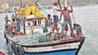 Approved Standardised Deep-Sea Fishing Vessels Design and Specifications