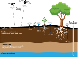 Root zone moisture